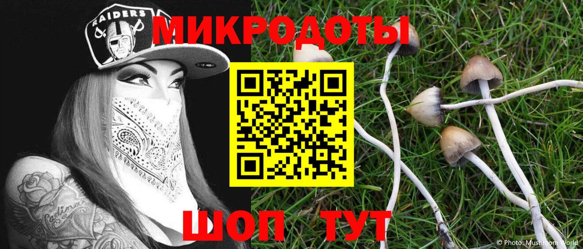 Алапаевск  Галлюциногенные грибы Cubensis  Вход с VPN 